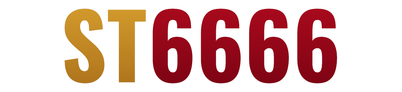st6666 logo